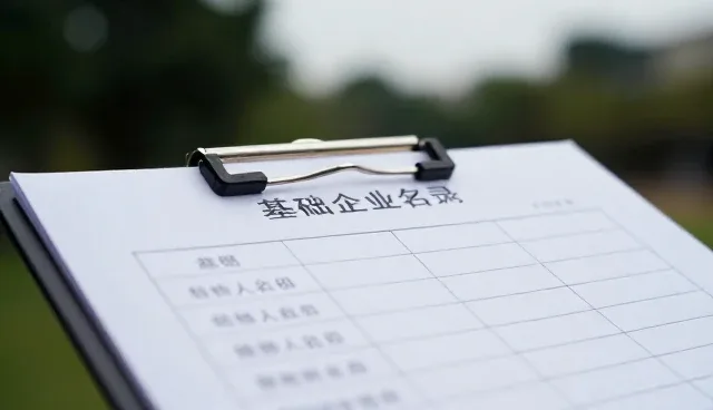 企业名录查询中的常见问题与解决策略